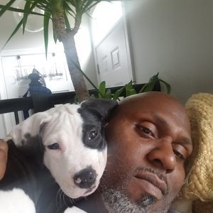 Meet your Posher, Emmerson